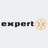 Expert